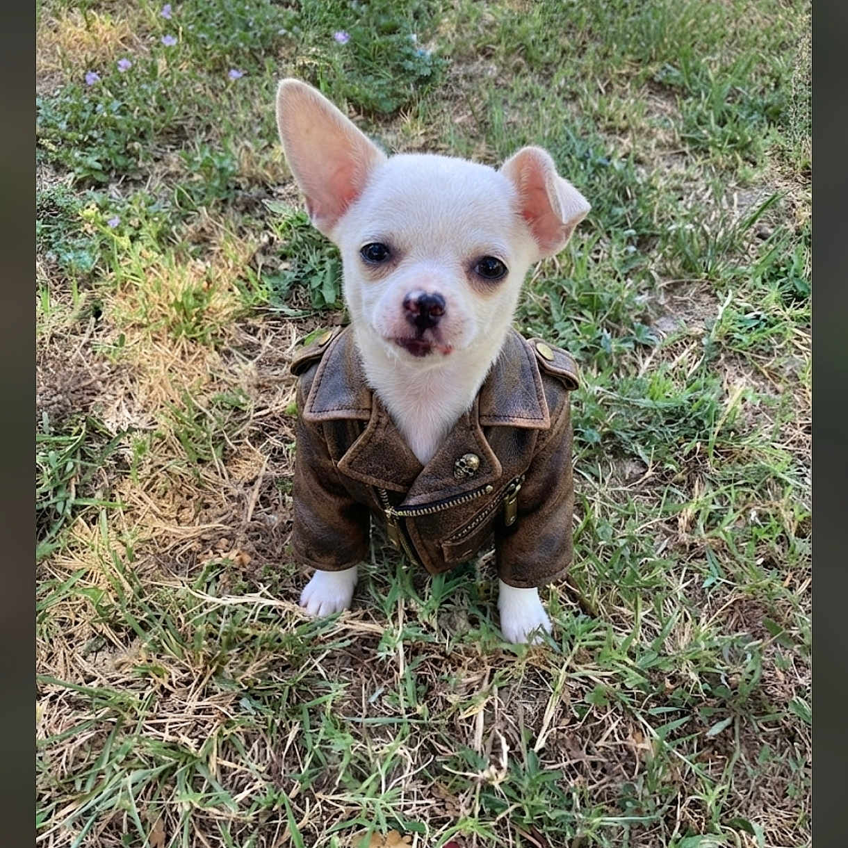 Baxter