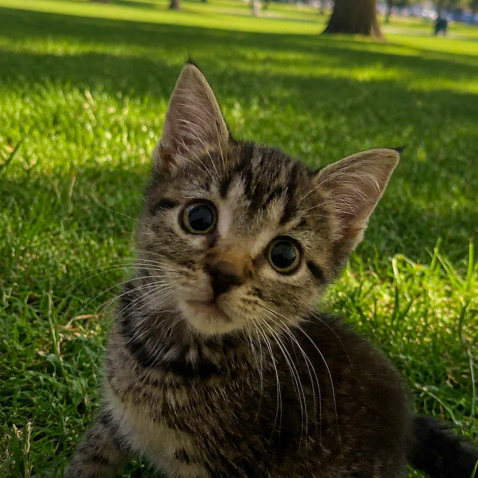 Juna