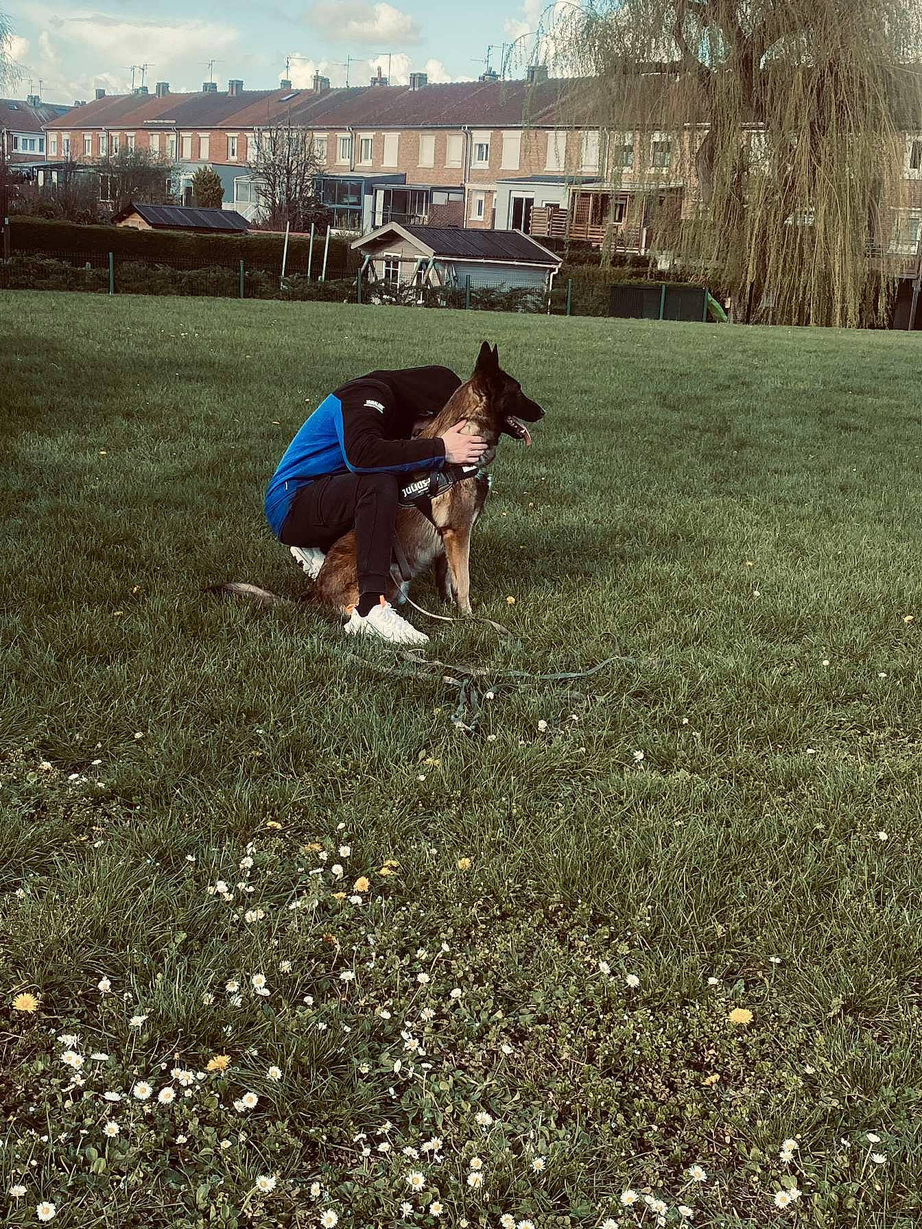 Palco participe au concours pour gagner de l'argent avec cette photo : companion_dog, fawn, flooring, grass, grass_family, grassland, happy, landscape, lawn, leisure, meadow, pasture, people_in_nature, petal, plant, recreation, road, sky, soil, tree