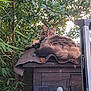 cat, tabby, fluffy, animal, outdoor, garden, shed, roof, greenery, leaves, tree, ladder, daylight, pet, relaxed, nature, wood, plant, resting, feline