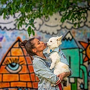 Willow joined the competition — help win amazing prizes! adult, animal, architecture, art, building, canine, clothing, dog, face, female, head, painting, pants, person, pet, photography, portrait, puppy, wall, woman