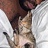cat, kitten, tabby, sleeping, cuddling, human, beard, paw, licking, upside_down, belly, fur, whiskers, tail, bed, bedding, white_sheets, indoor, close_up, cute