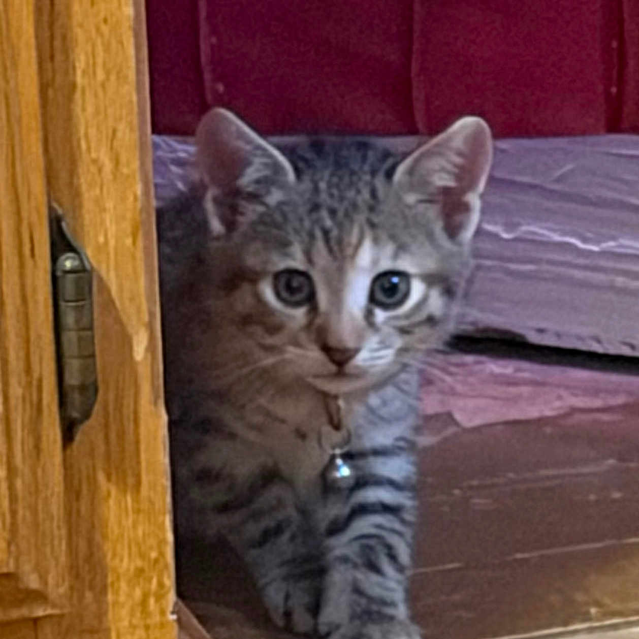 Nyla
