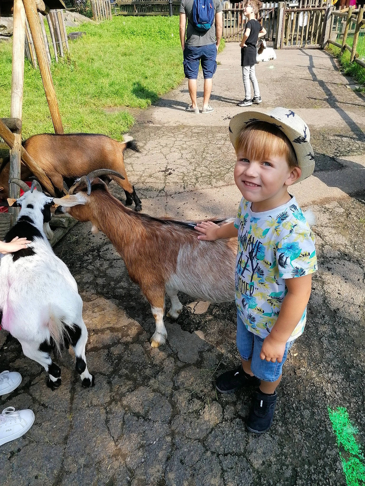 Valentin a rejoint le concours — aidez-le/la à gagner de superbes lots ! adaptation, event, fawn, fun, fur, goat, goat_antelope, goats, joy, landscape, leisure, livestock, pack_animal, person, plant, recreation, shorts, smile, t_shirt, terrestrial_animal