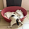dog, pet, small_dog, jack_russell, white_fur, black_patches, brown_patches, pink_bed, blanket, sleeping, stretching, lying_down, indoors, tiled_floor, home, furniture, animal, tail, sunlight, funny_pose