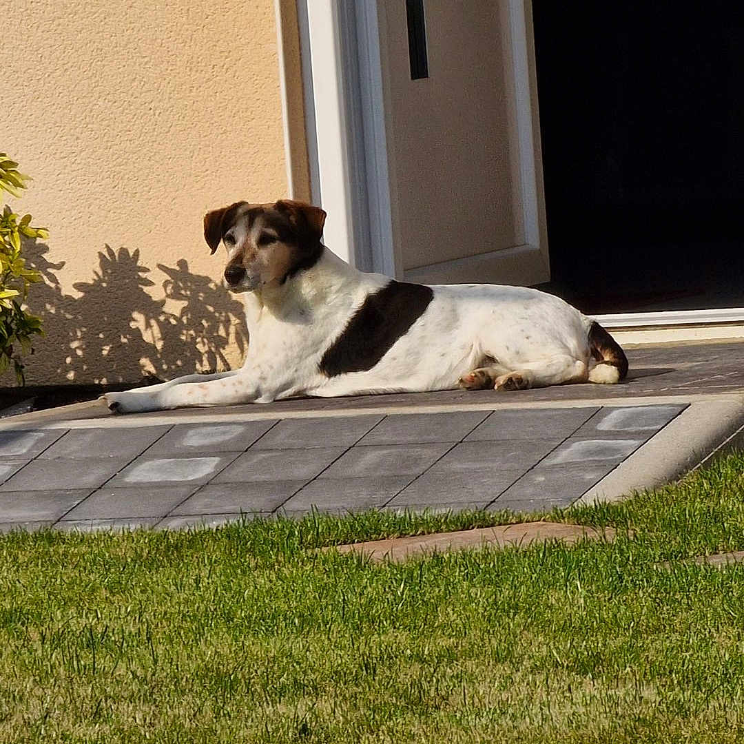 Bella