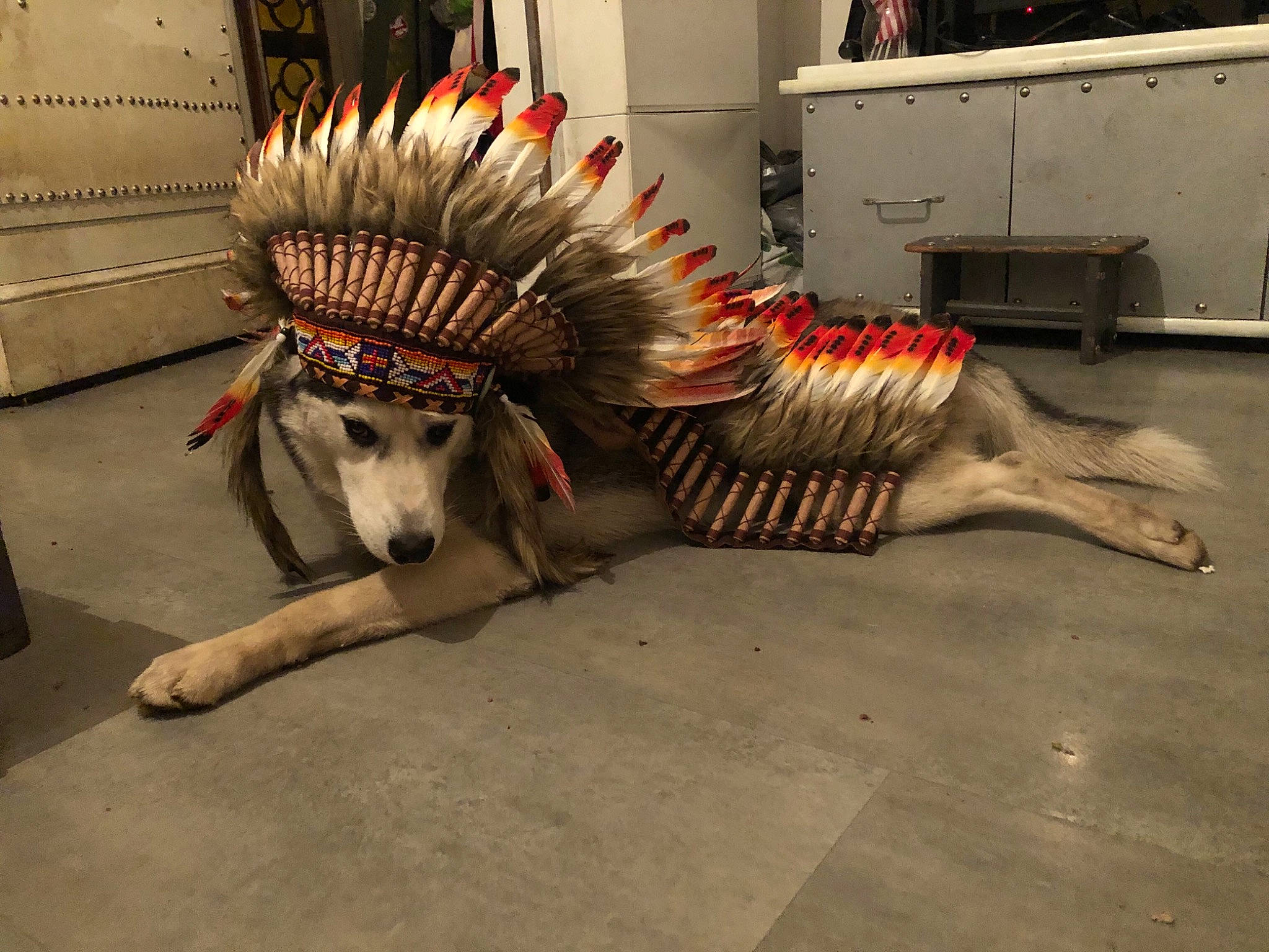 Big Tatanka