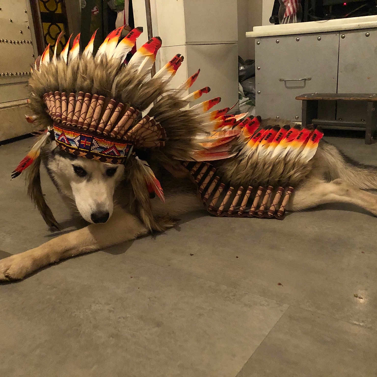 Big Tatanka
