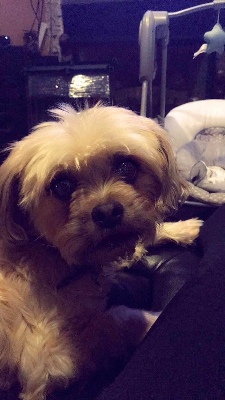 Mia