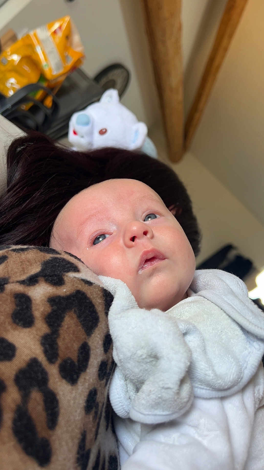 Alessio a rejoint le concours — aidez-le/la à gagner de superbes lots ! baby, infant, face, blue_eyes, blanket, leopard_print, stuffed_animal, white_clothing, indoor, portrait, child, soft_toy, cozy, resting, cute, young_child, head, expression, person, home_interior