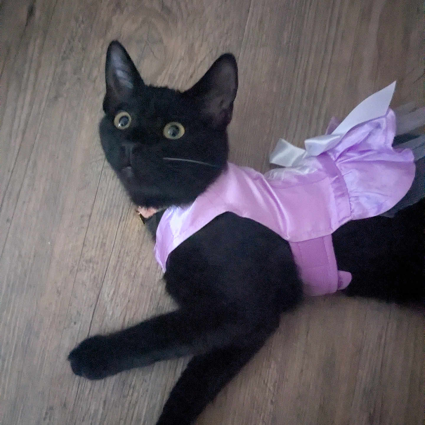 Tikki
