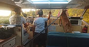 Kiara participe au concours pour gagner de l'argent avec cette photo : dog, boat, cockpit, cabin, indoors, people, driver, passenger, bench, seating, controls, steering, window, outdoors, watercraft, travel, adventure, daylight, golden_hour, pet
