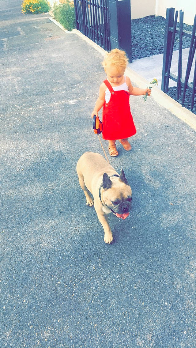 Laurena a rejoint le concours — aidez-le/la à gagner de superbes lots ! canidae, carnivore, companion_dog, dog, dog_breed, dog_walking, fawn, french_bulldog, non_sporting_group, person, pug, sporting_group, summer, tail, toy_dog, vacation