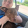 Starberry Hemberger joined the competition — help win amazing prizes! brown_dog, car, casual_clothing, companion, daylight, dog, friendship, happy, holding, human_animal_bond, man, outdoor_view, pet, portrait, road, seat, short_hair, smile, vehicle_interior, window