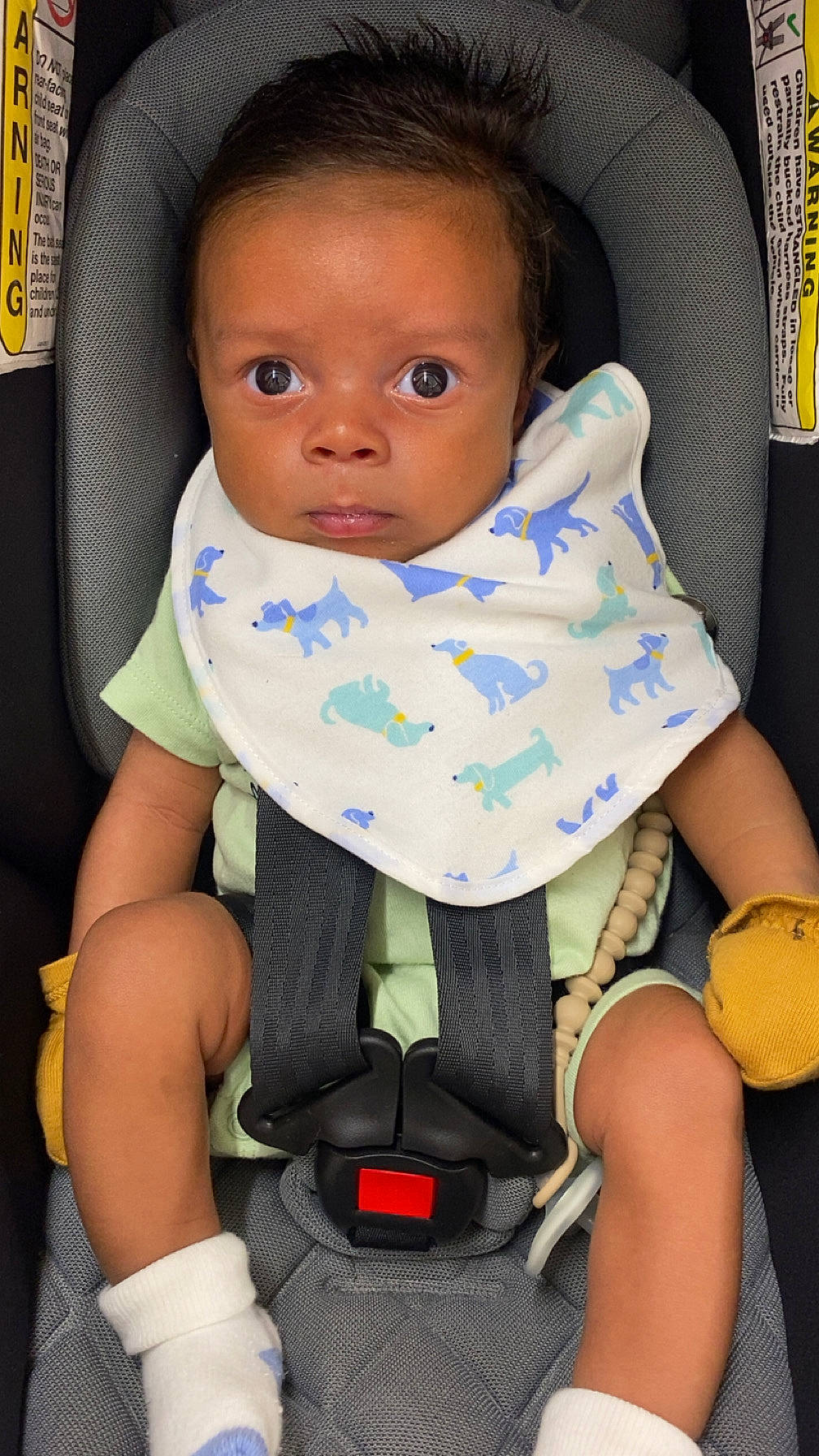 baby, baby_bib, baby_sock, bib, car_safety, car_seat, child, child_seat, clothing, curious, cute, expression, indoors, infant, mittens, portrait, safety_harness, seatbelt, wide_eyes, young
