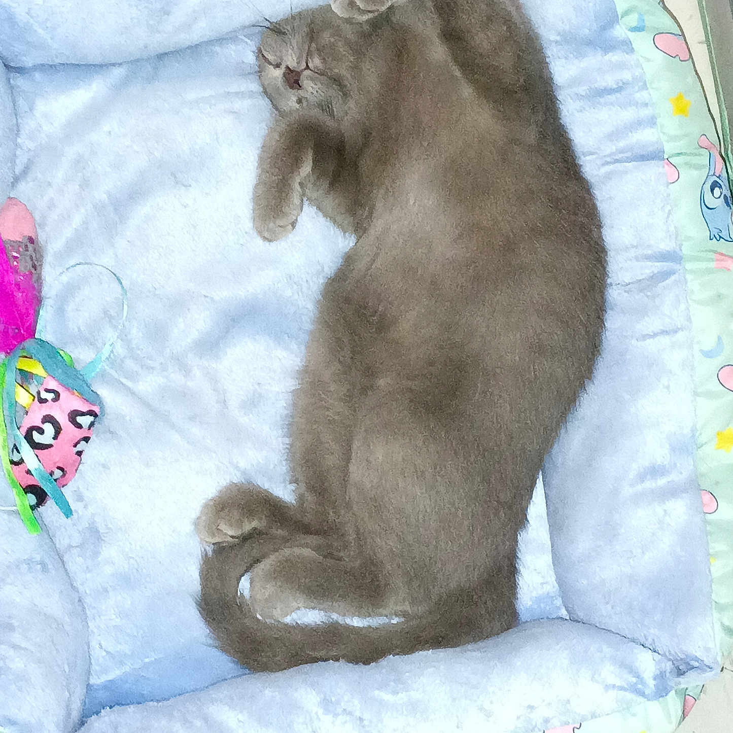 Luna-Marie