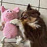puppy, dog, toy, pink, knitted, pig, floor, tile, paw, fur, brown, white, cute, pet, playful, lying_down, indoor, closeup, animal, soft