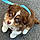 Eléonore B.