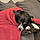 Lola