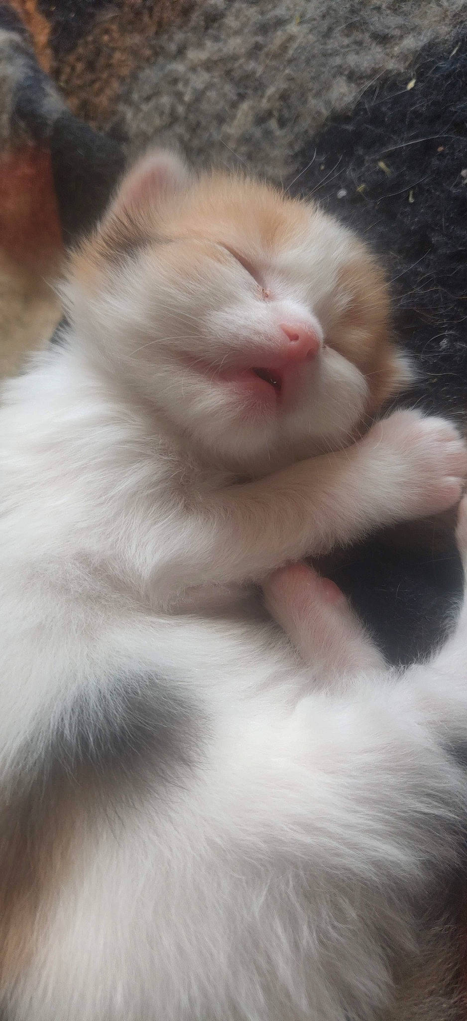 Little Baby Yeeeeeeee