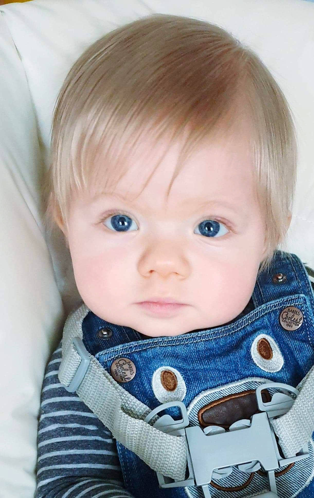 Enzo participe au concours pour gagner de l'argent avec cette photo : baby, baby_toddler_clothing, blond, cheek, child, chin, collar, electric_blue, eyebrow, eyelash, face, hair, iris, jacket, lip, nose, outerwear, person, skin, sleeve