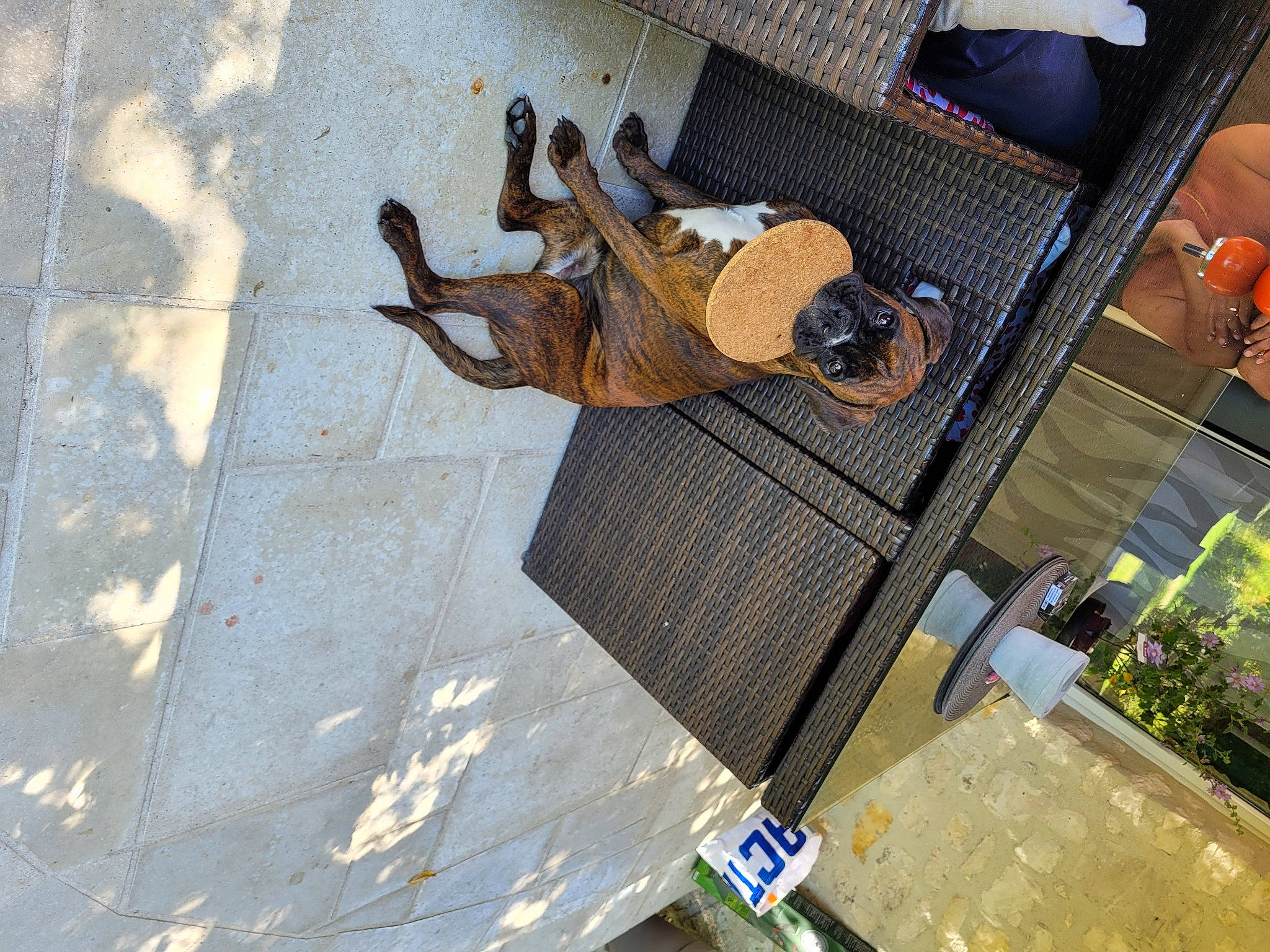 Shana participe au concours pour gagner de l'argent avec cette photo : art, asphalt, bag, concrete, facade, fawn, flooring, hardwood, landscape, metal, pattern, plant, road_surface, shadow, sidewalk, street, tile, urban_design, visual_arts, wood