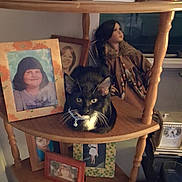 Harley joined the competition — help win amazing prizes! cat, tuxedo_cat, black_and_white, pet, animal, sitting, shelf, wooden_furniture, family_photos, picture_frames, portrait, home_decor, indoors, living_room, whiskers, collar, bell, green_eyes, vintage, clock