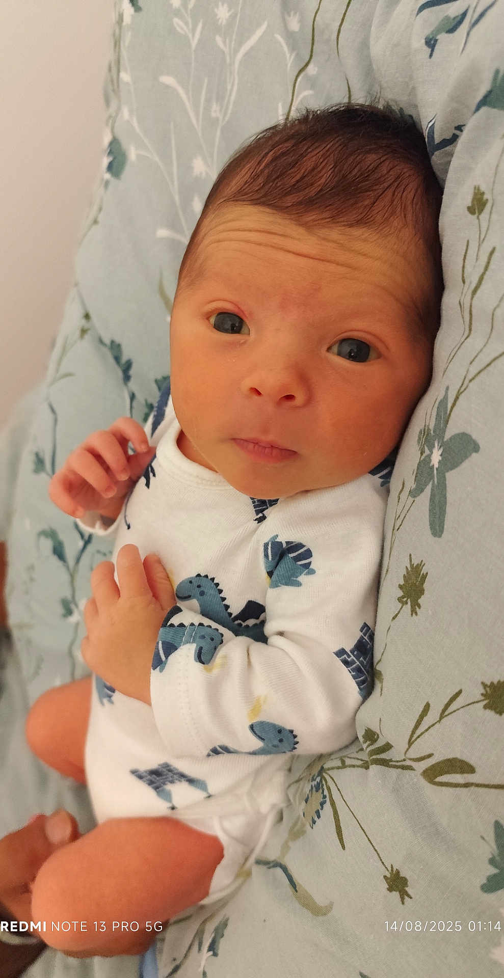 Ayden a rejoint le concours — aidez-le/la à gagner de superbes lots ! baby, newborn, infant, onesie, dinosaur_pattern, cushion, floral_pattern, hand, face, eyes, skin, portrait, lying_down, cute, clothing, child, indoors, soft_light, expression, person
