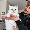 black_jacket, blue_eyes, calendar, casual_clothing, cat, curly_hair, cute, domestic_animal, facial_hair, fluffy, furniture, hand, holding, home, indoor, kitchen, person, pet, white_cat, young_man