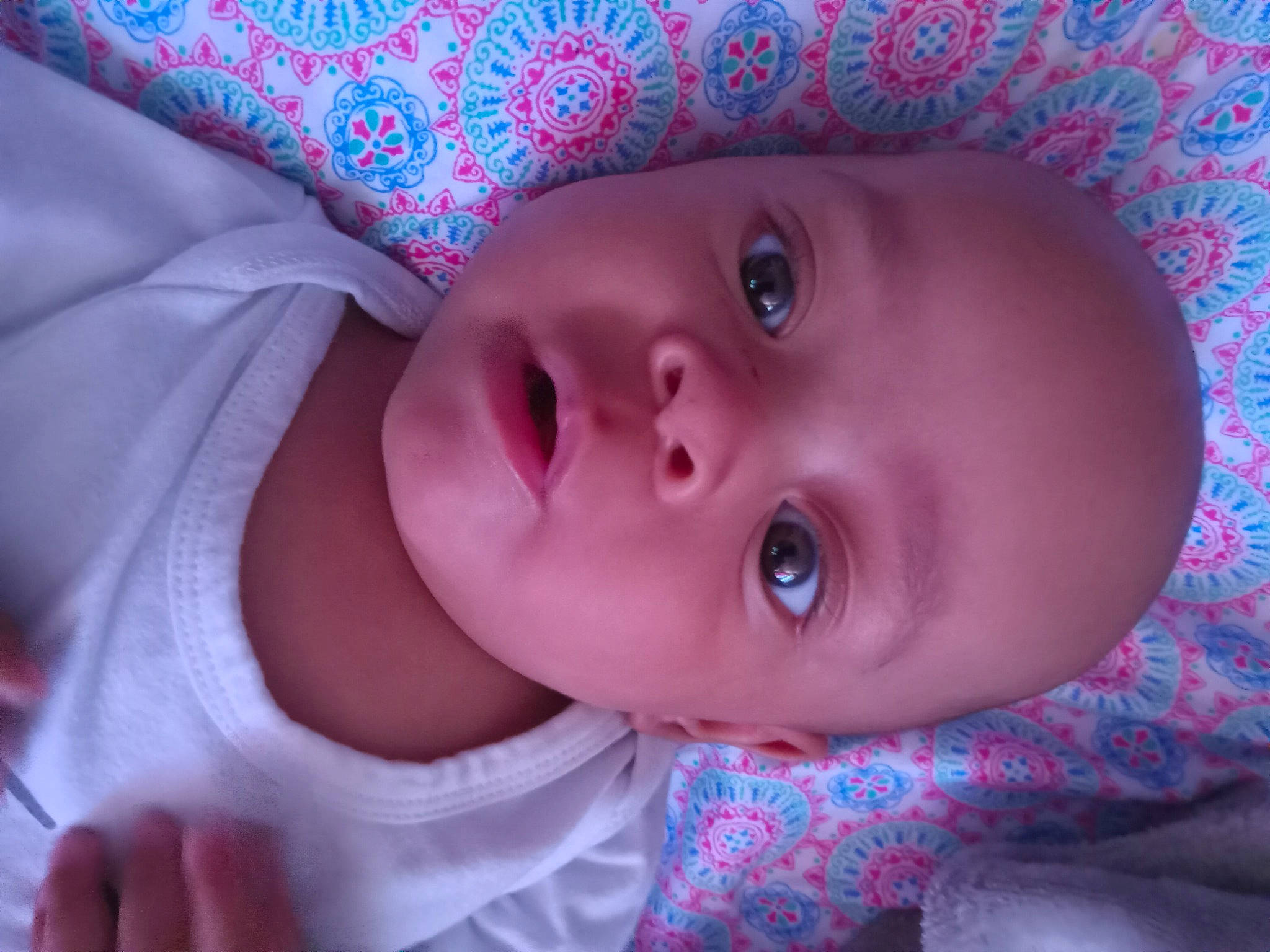 Jasper joined the competition — help win amazing prizes! baby, baby_toddler_clothing, cheek, chin, eye, eyebrow, eyelash, face, head, human_body, iris, lip, mouth, nose, person, pink, plant, purple, skin, smile