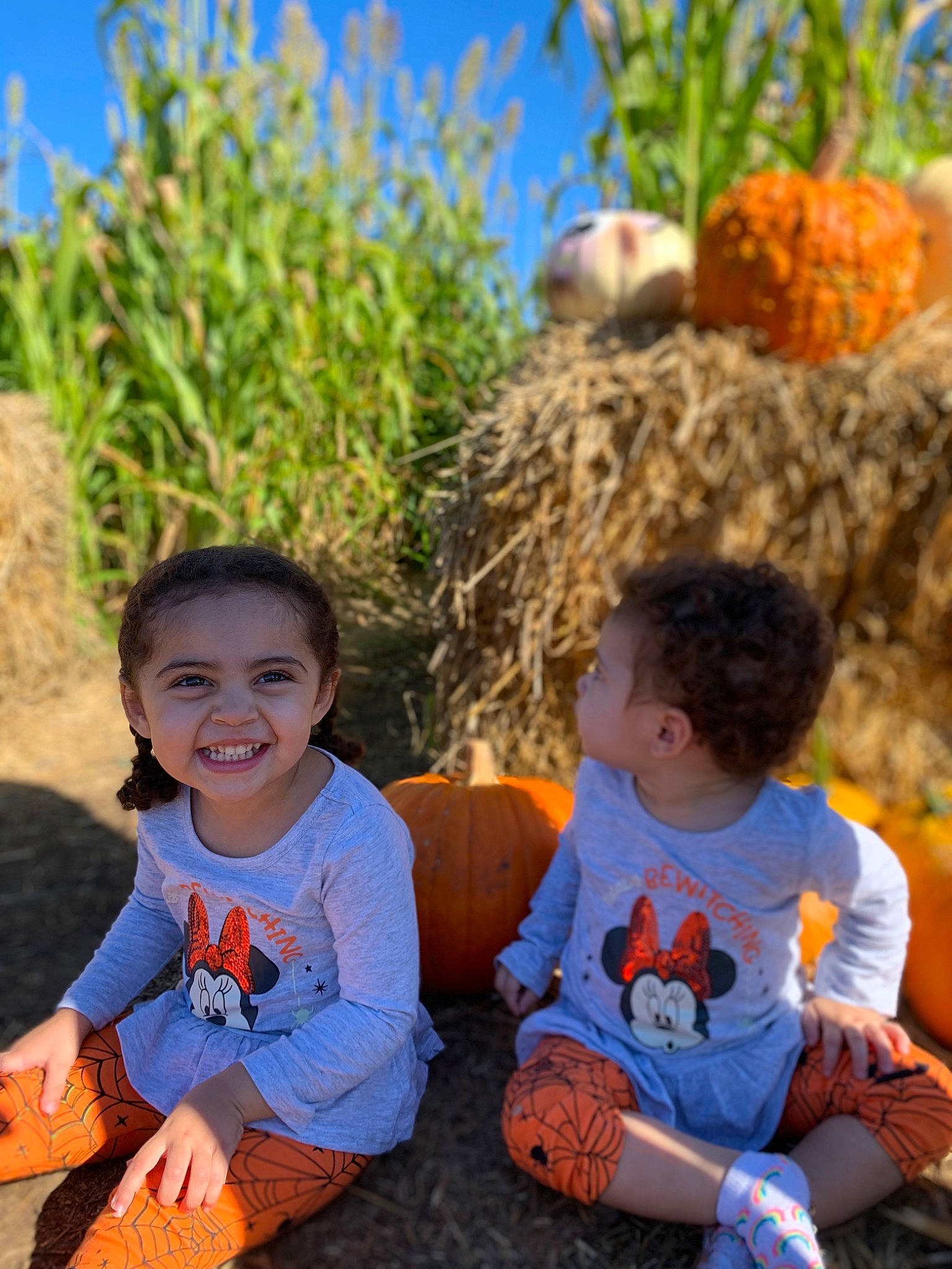 Liliana joined the competition — help win amazing prizes! adaptation, agriculture, blue, botany, child, fun, grass, happy, joy, leisure, orange, people_in_nature, person, plant, pumpkin, sky, smile, summer, t_shirt, toddler