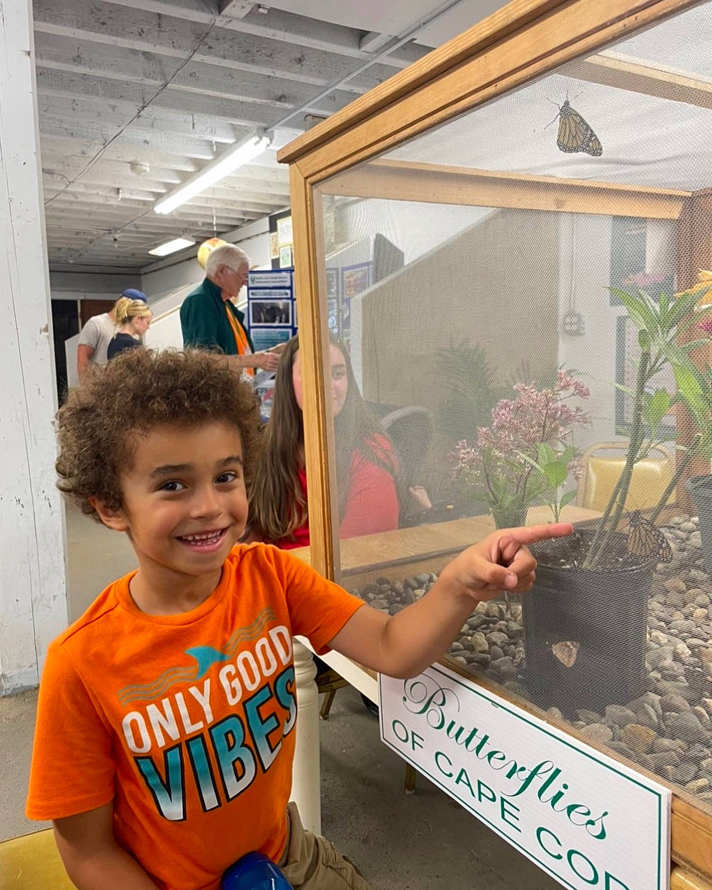 Levi is registered to the contest to win money with this photo: child, flower, flowerpot, glass, handwriting, happy, house, houseplant, joy, leisure, logo, person, picture_frame, plant, room, smile, t_shirt, toddler, travel, tree