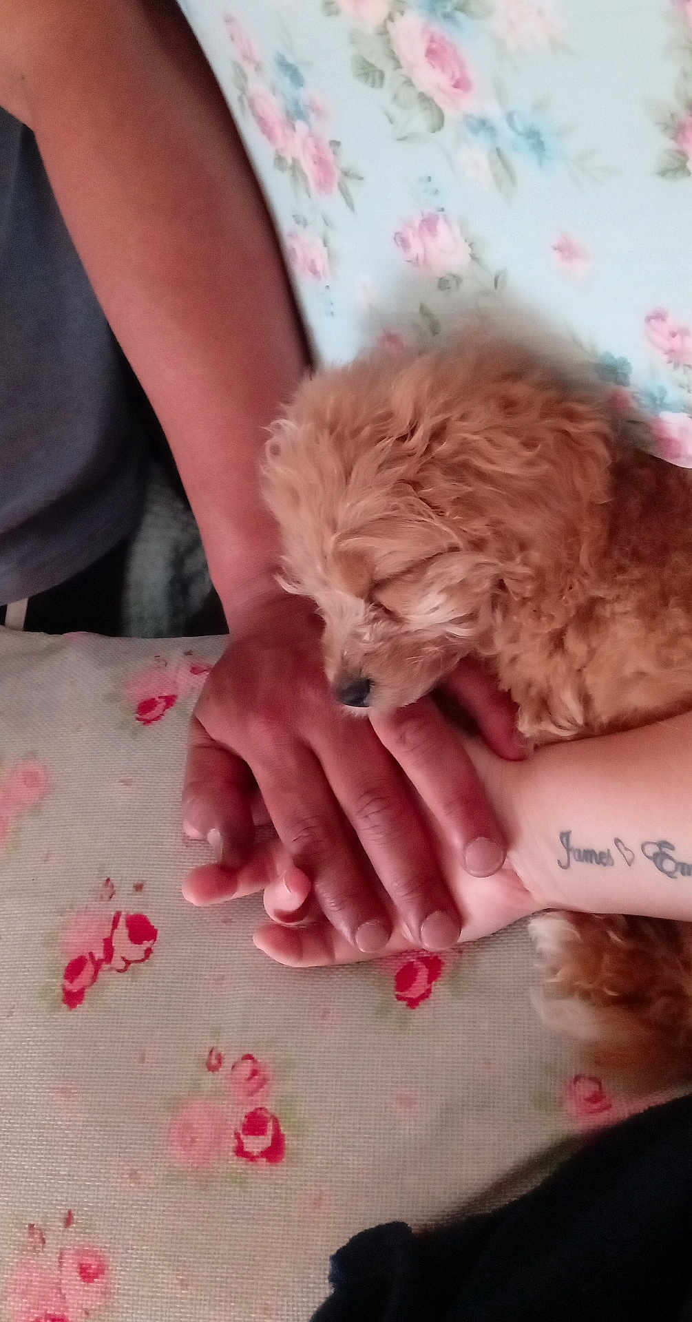 Lola