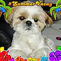Sandy Fred Hernandez