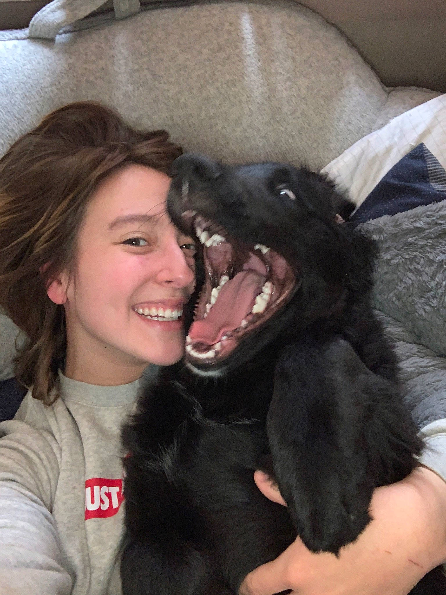 Apollo joined the competition — help win amazing prizes! black_hair, canidae, carnivore, companion_dog, dog, dog_breed, fur, sporting_group, tooth