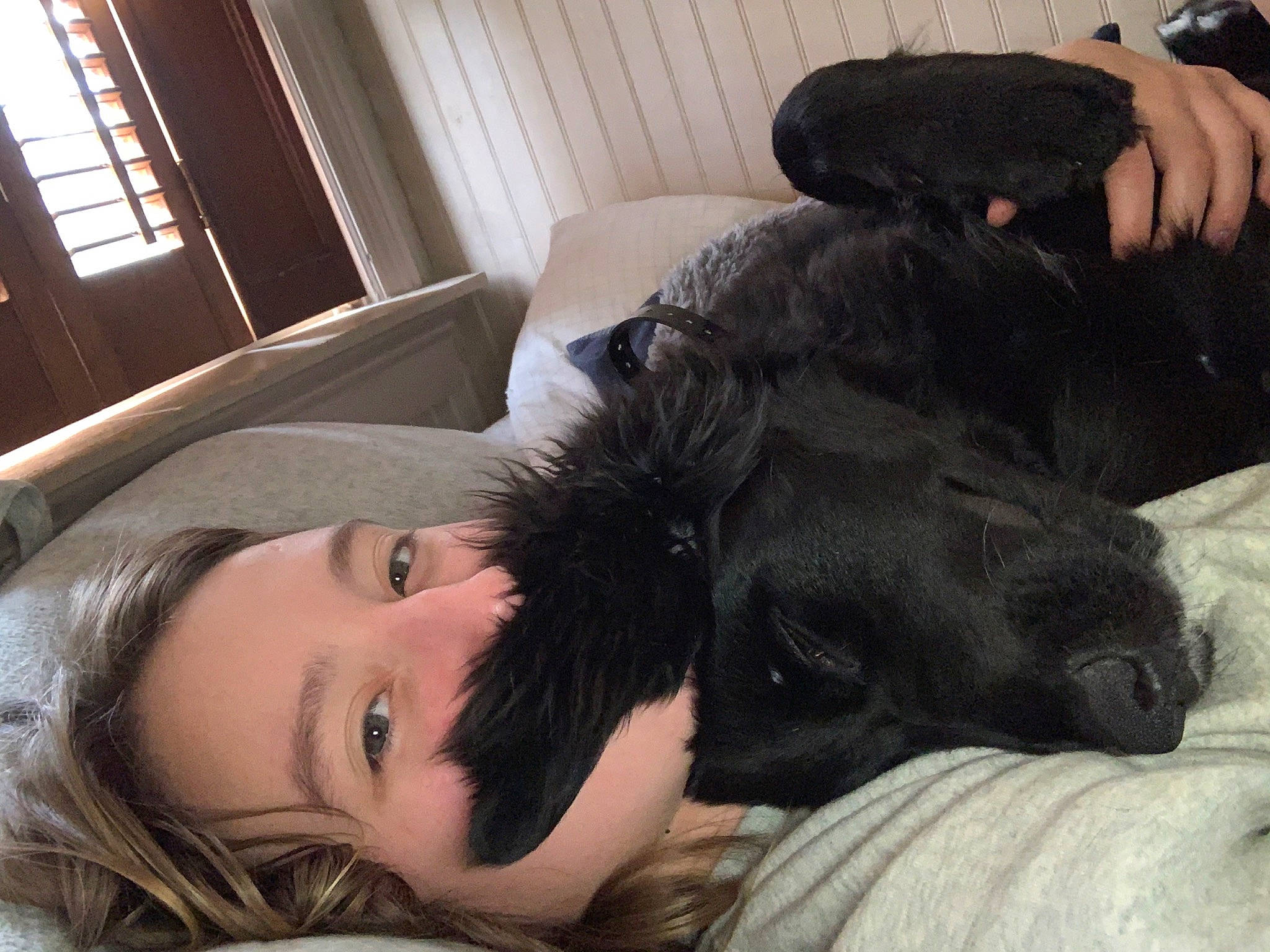 Apollo joined the competition — help win amazing prizes! black_hair, canidae, carnivore, comfort, companion_dog, dog, dog_breed, ear, guard_dog, love, nap, patterdale_terrier, puppy, puppy_love, sleep, sporting_group