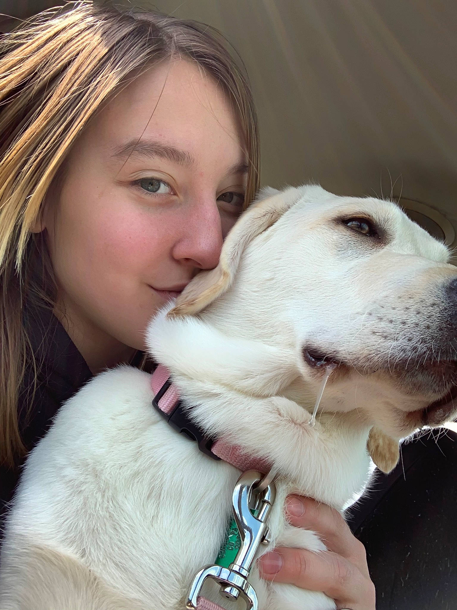 Rhea joined the competition — help win amazing prizes! canidae, carnivore, central_asian_shepherd_dog, companion_dog, dog, dog_breed, dog_collar, fawn, fur, nose, puppy_love, retriever, snout, sporting_group