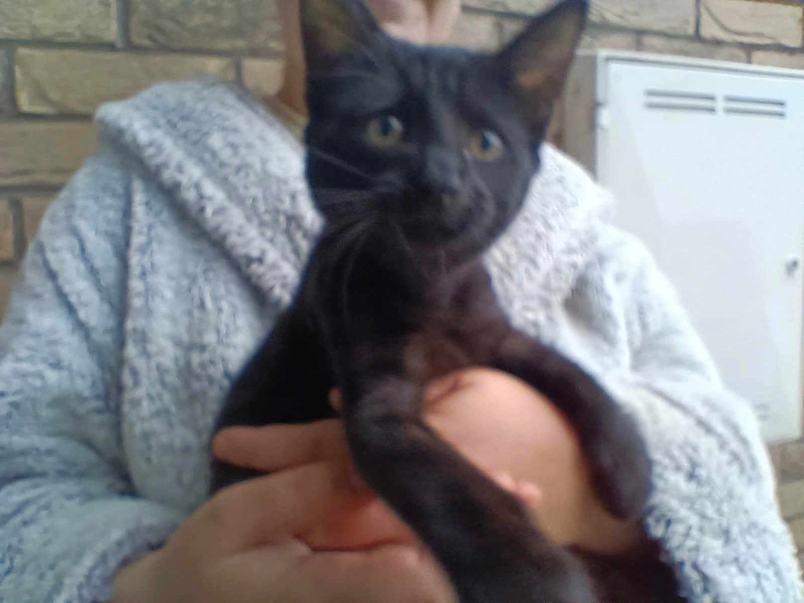 Salem