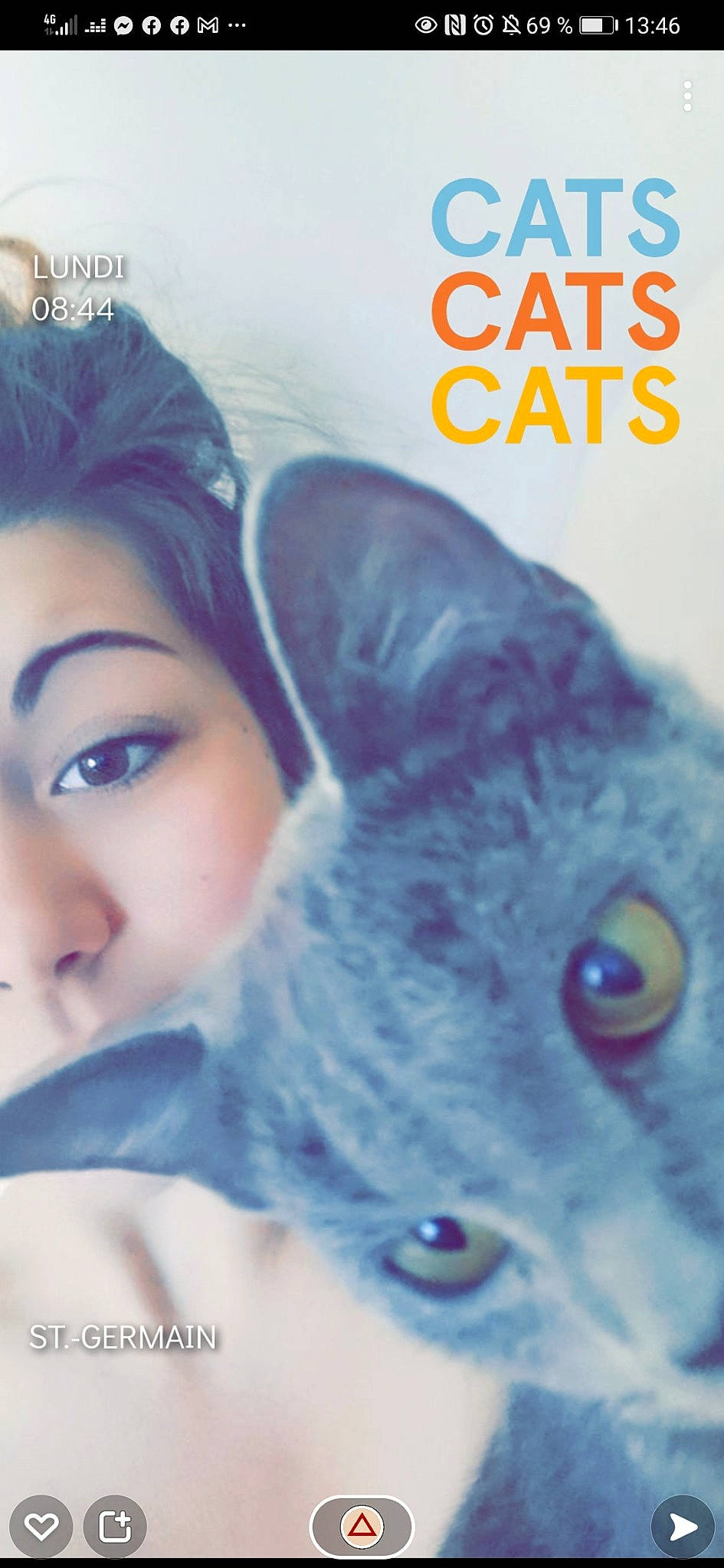 Beerus participe au concours pour gagner de l'argent avec cette photo : azure, black_hair, carnivore, cat, electric_blue, eye, eyelash, felidae, font, fur, gesture, happy, head, iris, logo, nose, photo_caption, small_to_medium_sized_cats, snout, whiskers