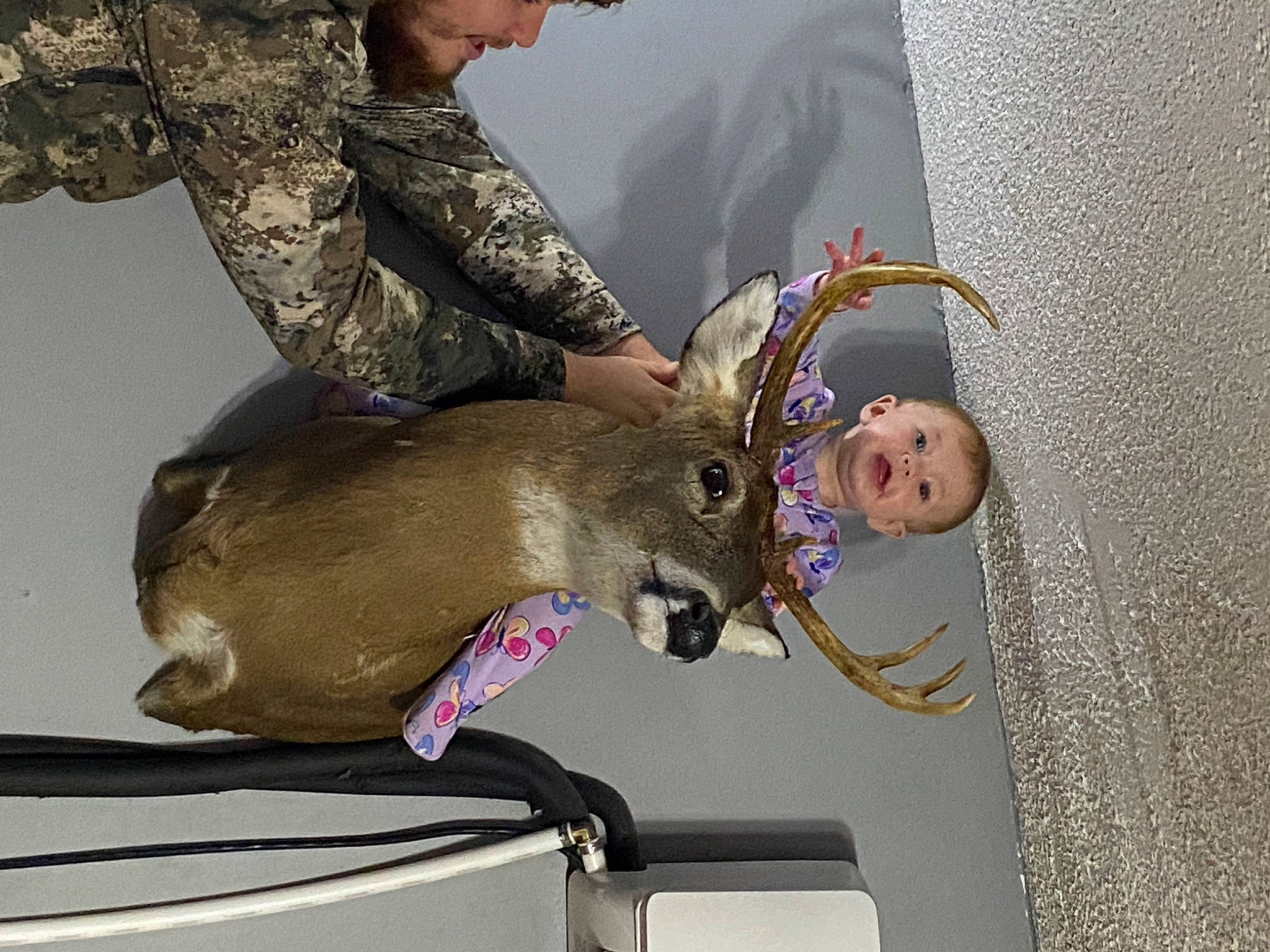 Kinsley joined the competition — help win amazing prizes! army, camouflage, canidae, dog_breed, fashion_accessory, fawn, fish, fun, fur, leash, military, military_camouflage, military_organization, military_person, military_uniform, non_commissioned_officer, person, snout, soldier, sporting_group