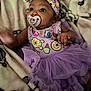 baby, child, pacifier, headband, purple_dress, tutu, blanket, infant, cute, smiling, portrait, clothing, indoors, baby_girl, soft_toys, patterned_blanket, small_hands, curious_look, lying_down, close_up