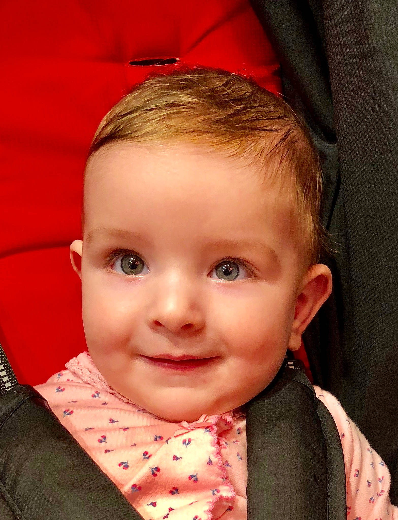 Olivia Rose is registered to the contest to win money with this photo: baby, beauty, cheek, child, chin, ear, eye, eyebrow, face, facial_expression, forehead, hair, head, iris, joy, lip, mouth, nose, person, skin