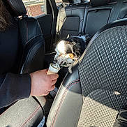 Eliza is registered to the contest to win money with this photo: animal, backseat, black_seat, car_interior, casual, comfort, cup, daylight, dog, hand, interaction, leather_seat, licking, person, pet, red_stitching, sunlight, treat, vehicle, window