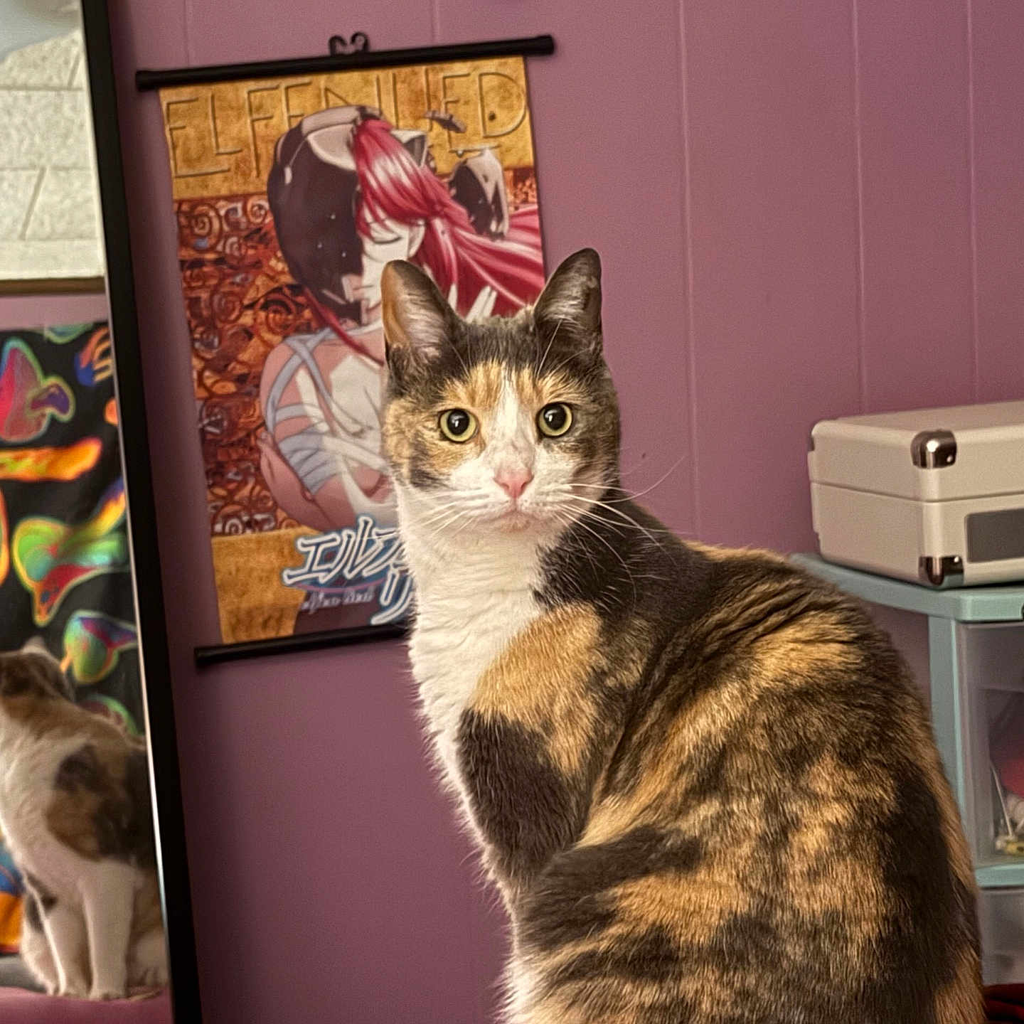 Lilly joined the competition — help win amazing prizes! cat, calico_cat, pet, animal, portrait, sitting, staring, green_eyes, whiskers, ears, fur, indoor, room, purple_wall, artwork, framed_picture, colorful, suitcase, storage_bins, home_decor