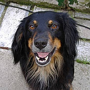 Newton participe au concours pour gagner de l'argent avec cette photo :