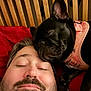 beard, bed, close_up, cozy, cuddling, dog, ear, facial_hair, french_bulldog, harness, headboard, indoor, nuzzling, person, pet, pillow, portrait, red_blanket, sleeping, snout