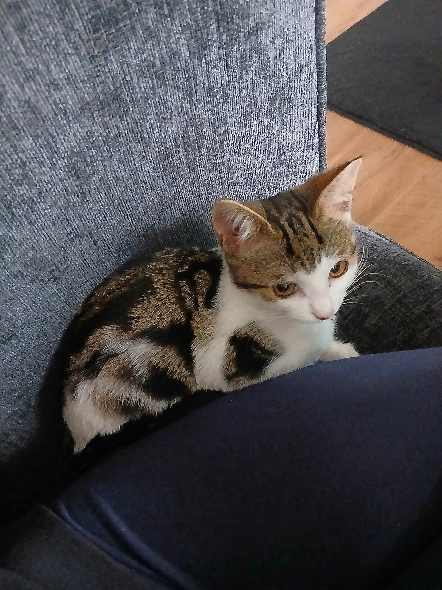 Nala