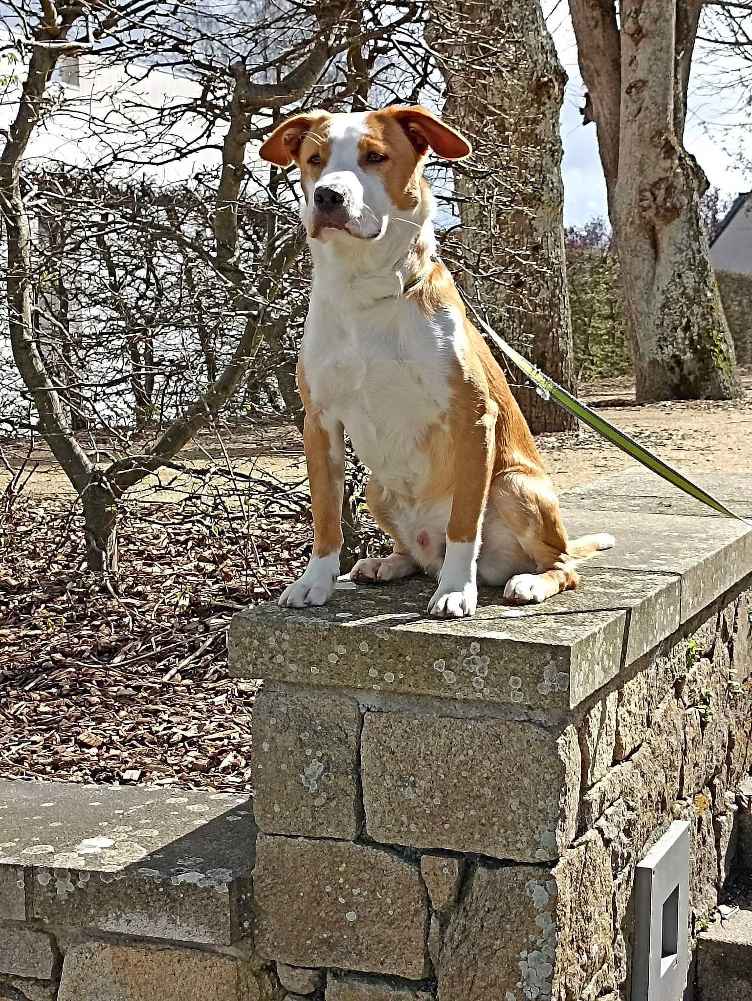 Rio