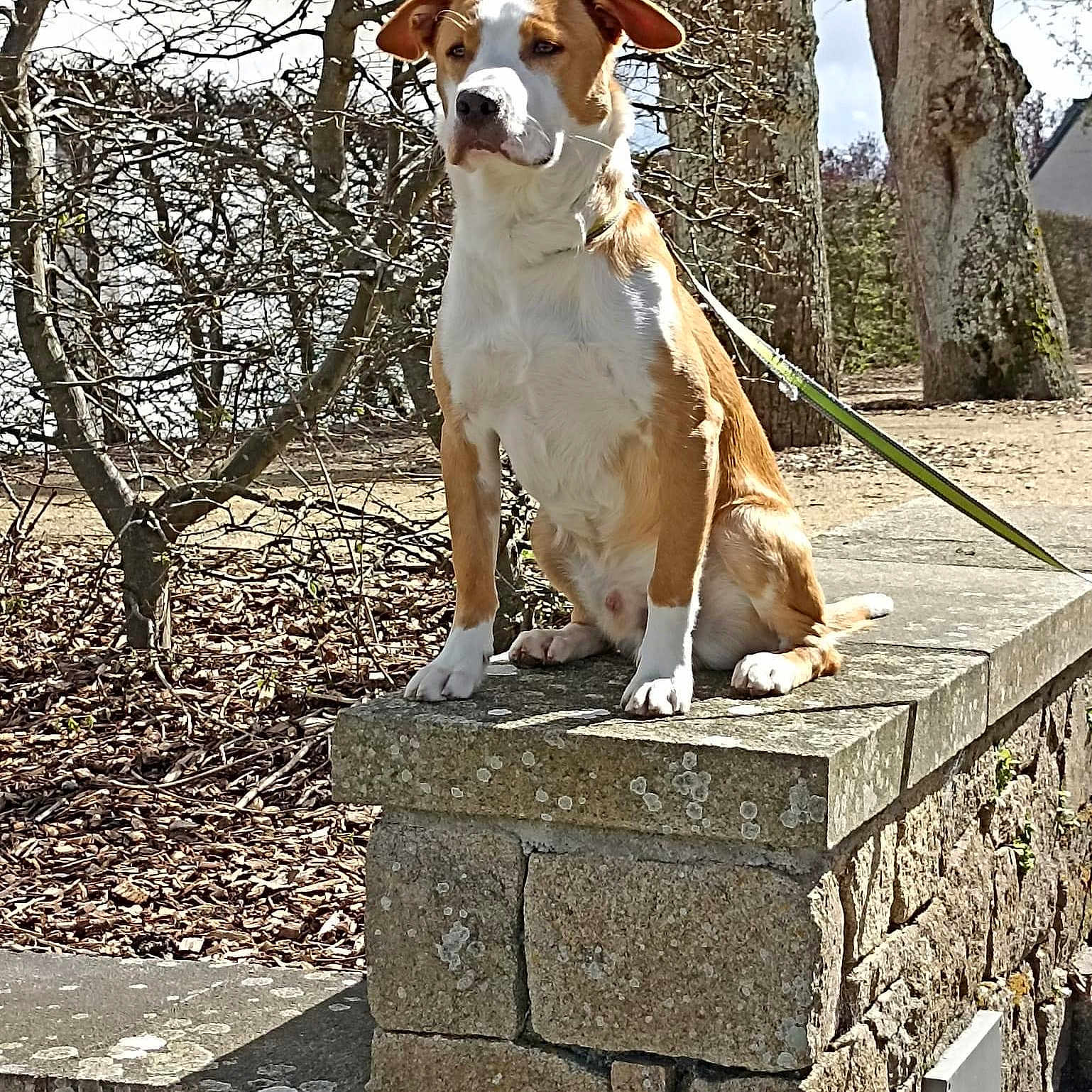 Rio
