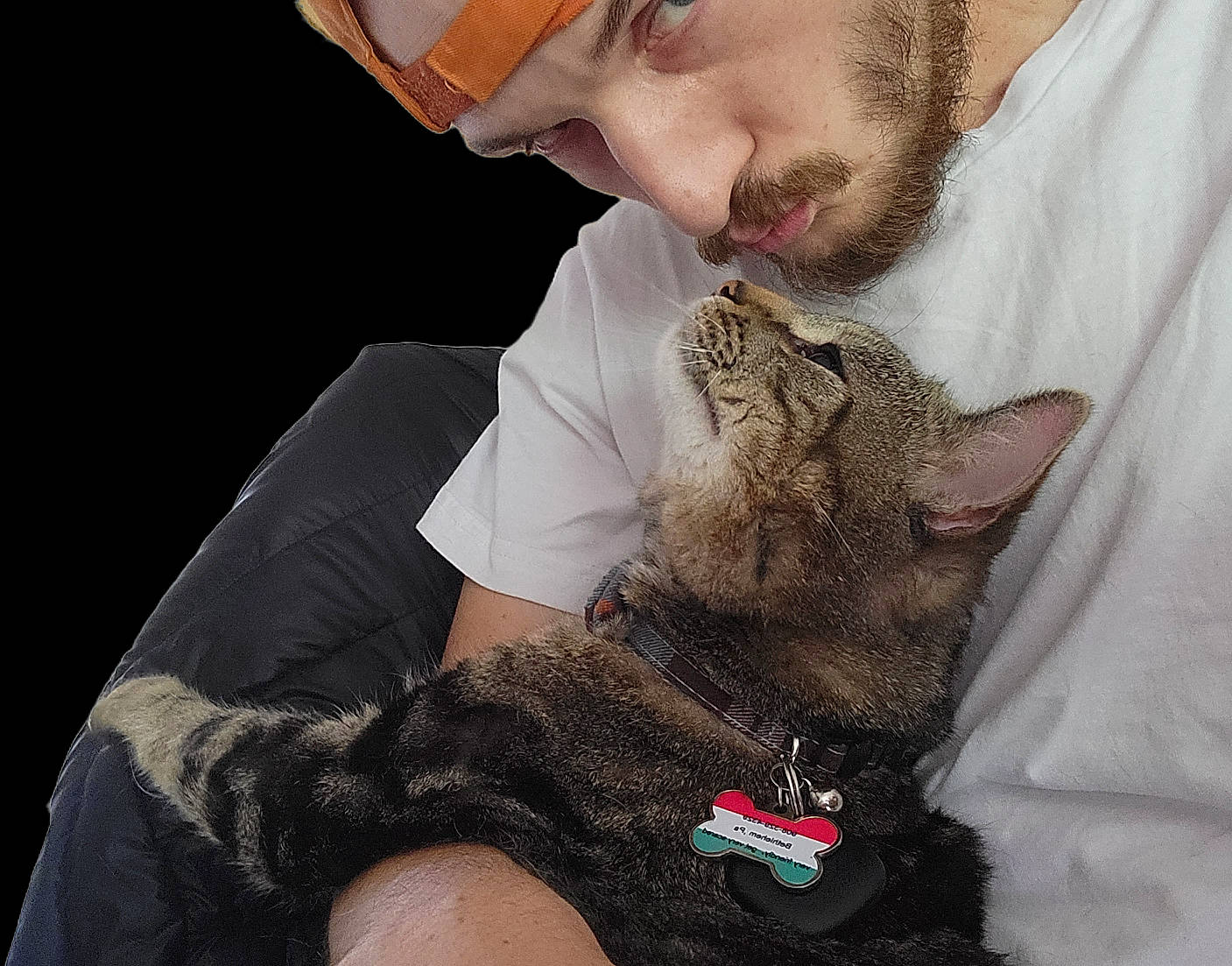 Pretzel is registered to the contest to win money with this photo: beard, canidae, cap, carnivore, cat, comfort, companion_dog, dog_breed, domestic_short_haired_cat, ear, fawn, felidae, fur, gesture, neck, small_to_medium_sized_cats, snout, wallaby, whiskers, wildlife_biologist